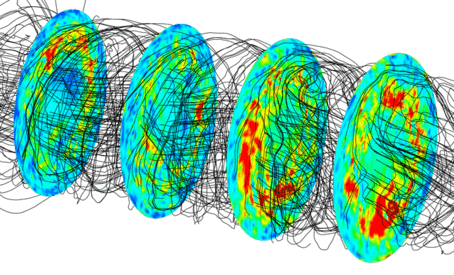 Transonic Strongly-Turbulent Vortex