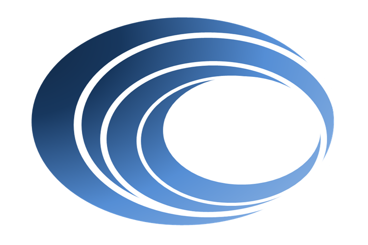 CCP-WSI